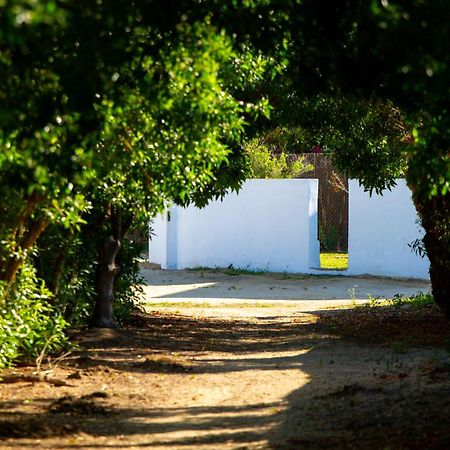 Casara Tres - 2 Dormitorios - Jardin Y Acceso Privado A La Playa Zahora Eksteriør billede